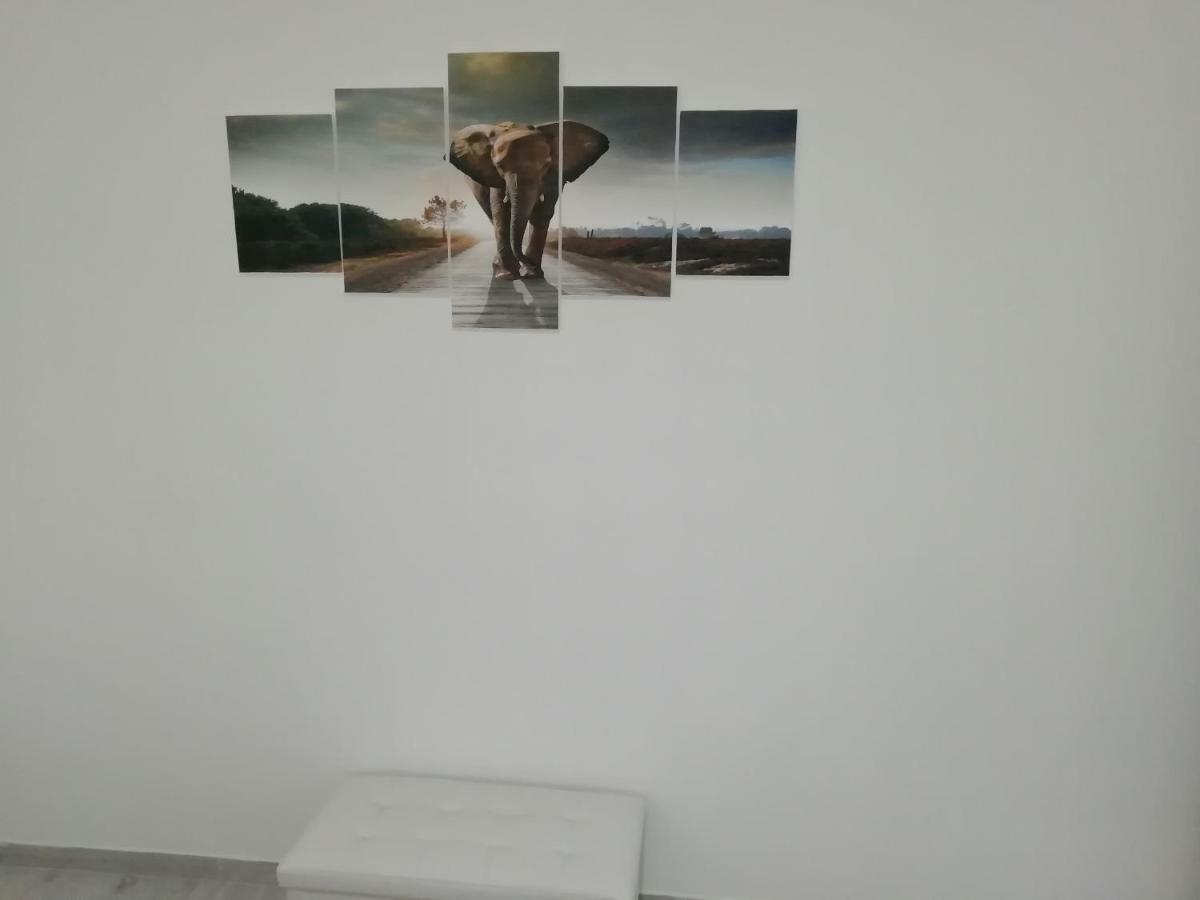 ホテル Casa Mia Domegliara エクステリア 写真